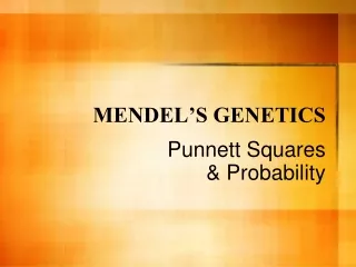 MENDEL’S GENETICS