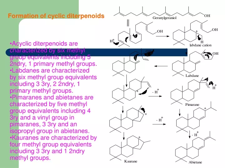 formation of cyclic diterpenoids