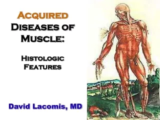 Acquired Diseases of Muscle: Histologic Features