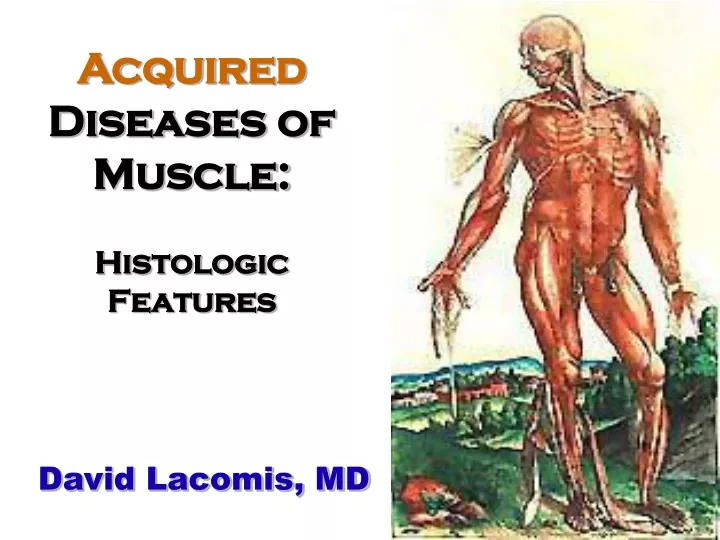 acquired diseases of muscle histologic features