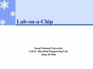 Lab-on-a-Chip