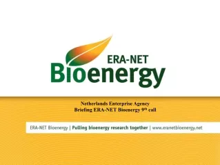 Netherlands Enterprise Agency Briefing ERA-NET Bioenergy 9 th  call