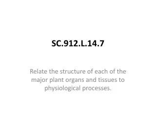 SC.912.L.14.7