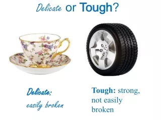 Delicate  or  Tough ?