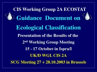 CIS Working Group 2A ECOSTAT Guidance  Document on