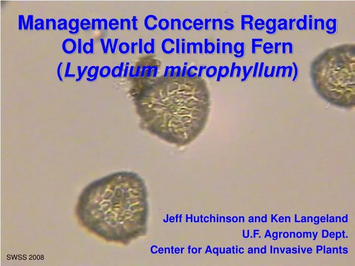 management concerns regarding old world climbing fern lygodium microphyllum
