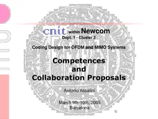 within  Newcom  Dept. 1 - Cluster 2 Coding Design for OFDM  and  MIMO Systems