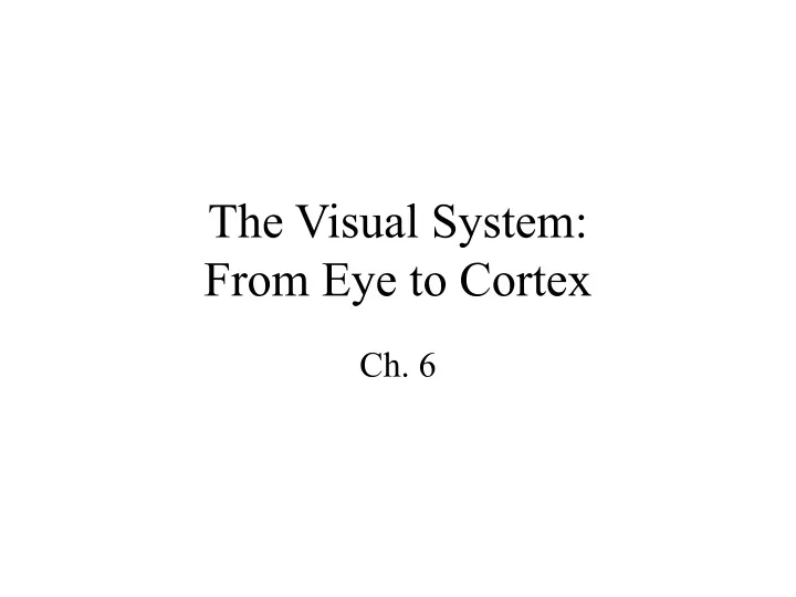 the visual system from eye to cortex