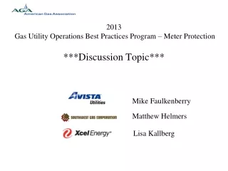 2013  Gas Utility Operations Best Practices Program – Meter Protection