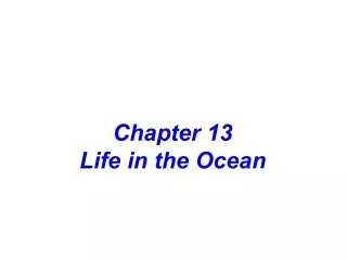 Chapter 13  Life in the Ocean