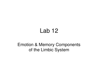 Lab 12