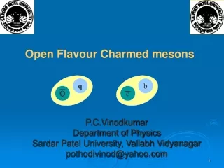 P.C.Vinodkumar Department of Physics Sardar Patel University, Vallabh Vidyanagar