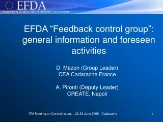 EFDA “Feedback control group”: general information and foreseen activities