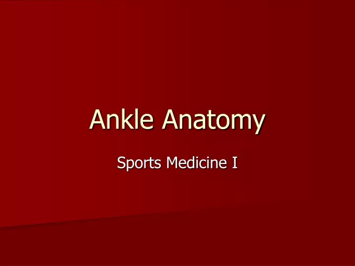ankle anatomy