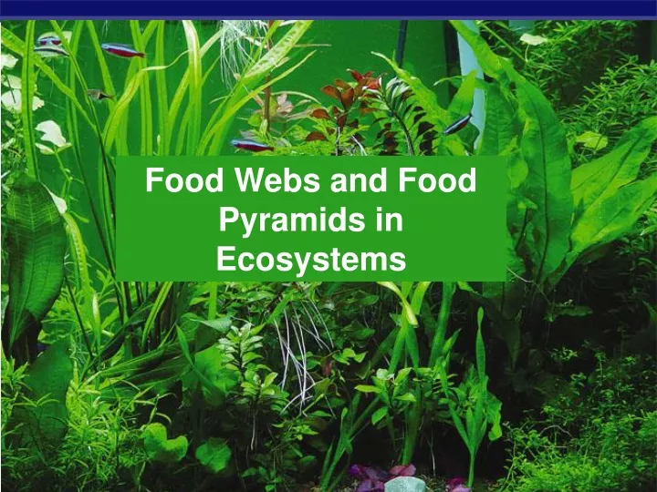 food webs and food pyramids in ecosystems