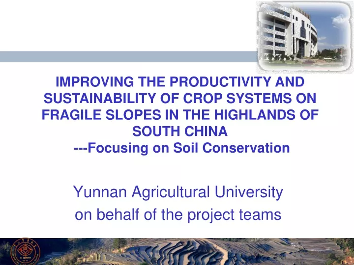 yunnan agricultural university on behalf of the project teams