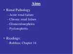 Renal Pathology: Causes, Symptoms, and Treatment - slide 1