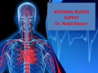 ARTERIAL BLOOD  SUPPLY Dr.  Nabil Khouri