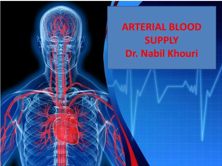 arterial blood supply dr nabil khouri