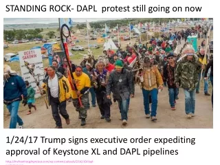 thefreethoughtproject/wp-content/uploads/2016/10/dapl-protesters.jpg