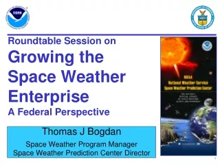 Roundtable Session on  Growing the Space Weather Enterprise A Federal Perspective