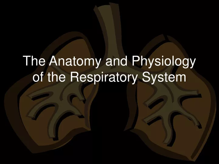 the anatomy and physiology of the respiratory system