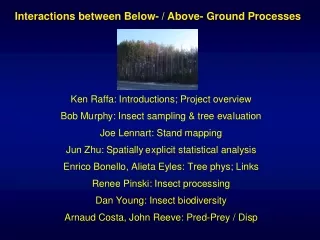 Interactions between Below- / Above- Ground Processes