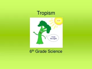 Tropism