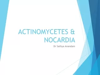 ACTINOMYCETES &amp; NOCARDIA