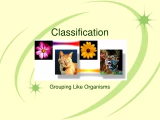 Classification