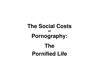 The Social Costs of Pornography: