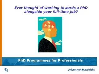 PhD Programmes for Professionals