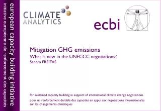 Mitigation GHG emissions What is new in the UNFCCC negotiations? Sandra FREITAS