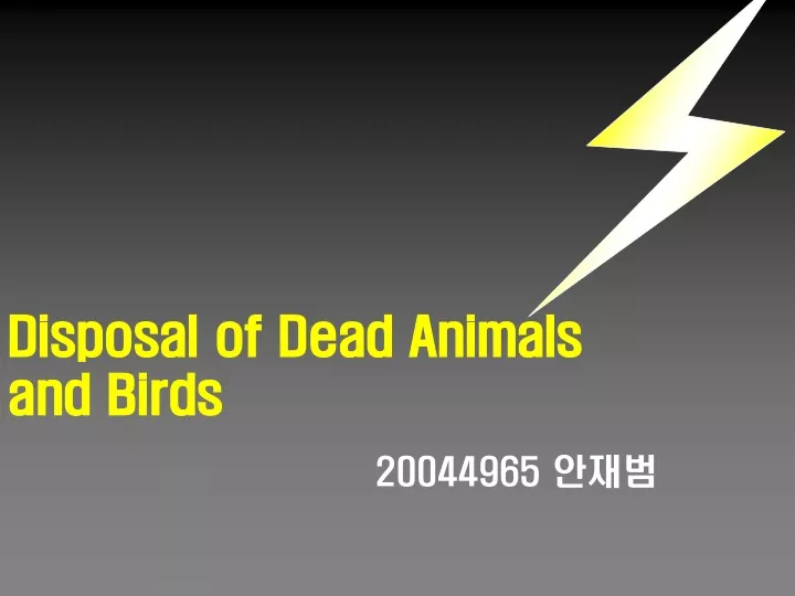 disposal of dead animals and birds