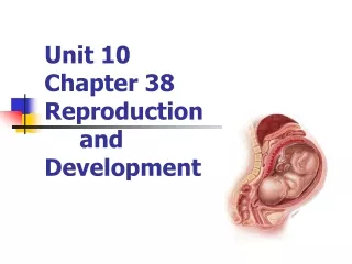 Unit 10 Chapter 38 Reproduction  	and  Development