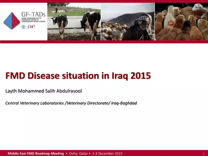 fmd disease situation in iraq 2015 layth mohammed