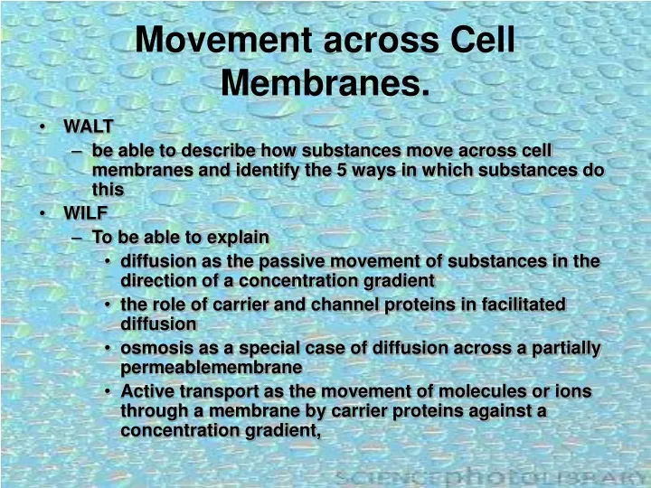 movement across cell membranes