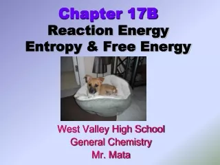 Chapter 17B Reaction Energy Entropy &amp; Free Energy