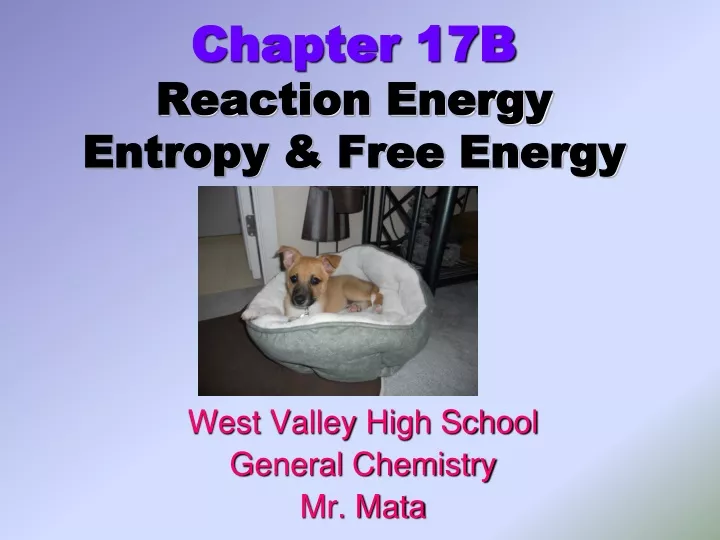chapter 17b reaction energy entropy free energy