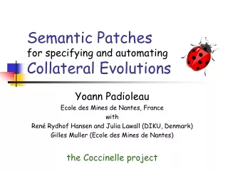 Semantic  Patches  for specifying and automating Collateral Evolutions