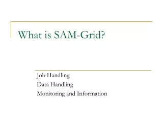 What is SAM-Grid?