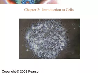 Chapter 2:  Introduction to Cells