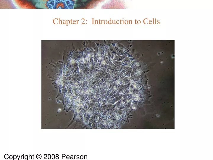 chapter 2 introduction to cells