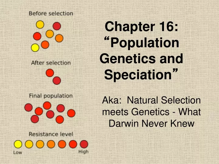 chapter 16 population genetics and speciation