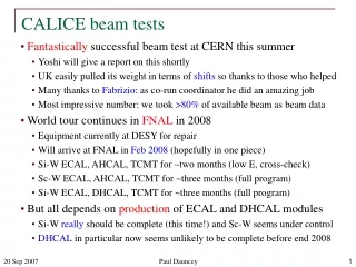CALICE beam tests