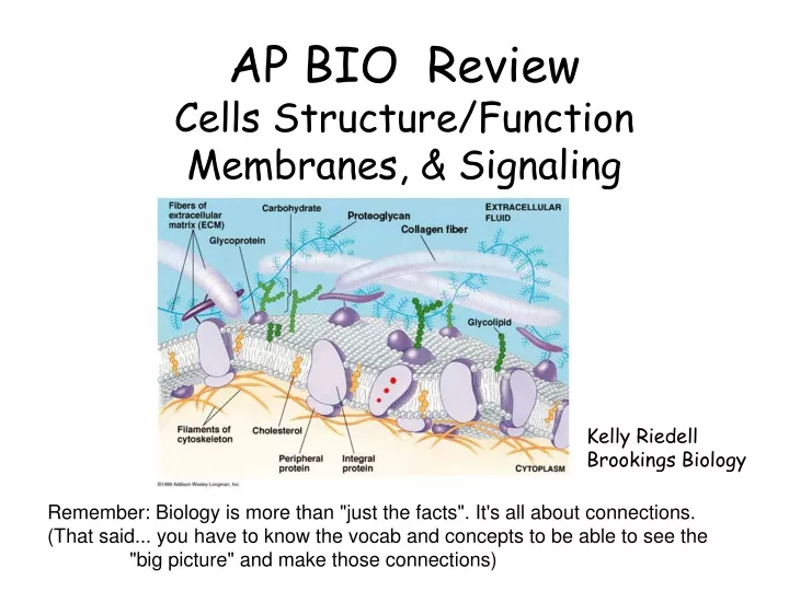 ap bio review cells structure function membranes signaling