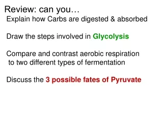 Review: can you…  Explain how Carbs are digested &amp; absorbed