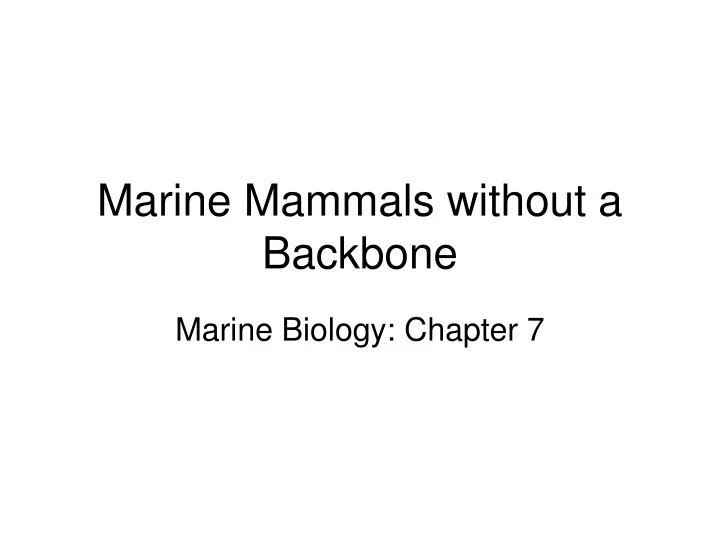 marine mammals without a backbone