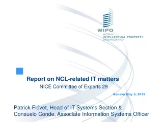 Report on NCL-related IT matters 	NICE Committee of Experts 29