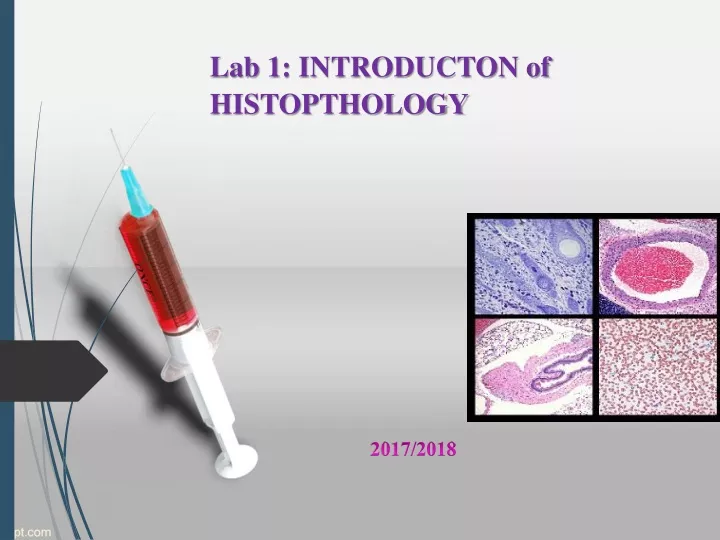 lab 1 introducton of histopthology